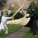 Illustration for article titled emStar Wars/em made entirely out of scarecrows wins best Halloween lawn on this Earth